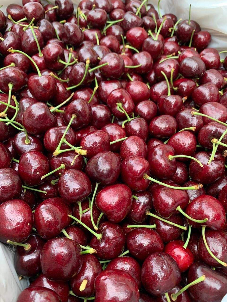 Cherries