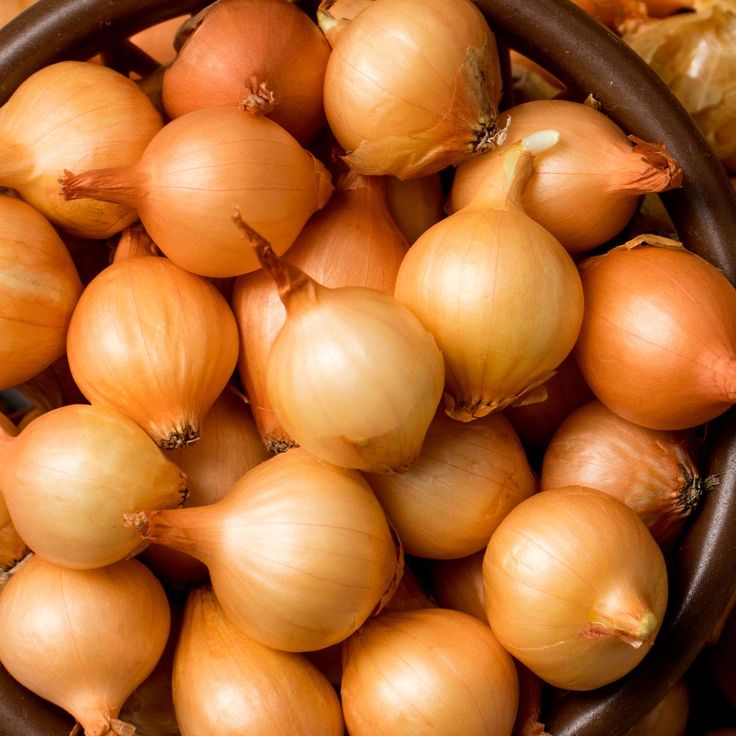 Golden onion